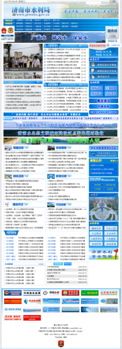 郑州大 专业网站建设与水利信息化服务