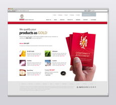 网页设计 立德国际商品试验