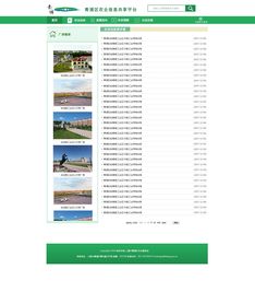 网站设计 从概念到用户体验的艺术